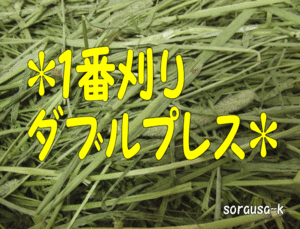 【主食】牧草チモシー１番刈りダブルプレス　1kg